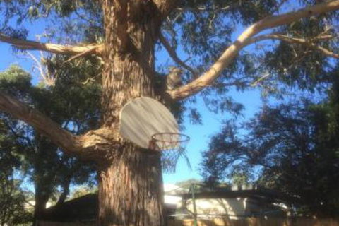 Inverloch Motel - Accommodation Noosa 5