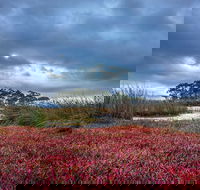 Saintys Creek Cottage - Accommodation Noosa