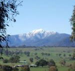 Off Mountain Accommodation - Accommodation Noosa