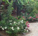 Maldons Eaglehawk Motel - Accommodation Noosa