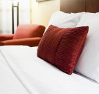 Dawson River Tourist Park - Accommodation Noosa