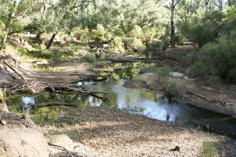 Barrabup Sanctuary BirdHide - Accommodation Noosa 4