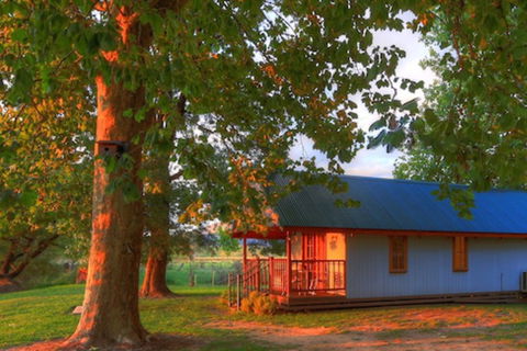 Colac Colac Caravan Park - Accommodation Noosa 5