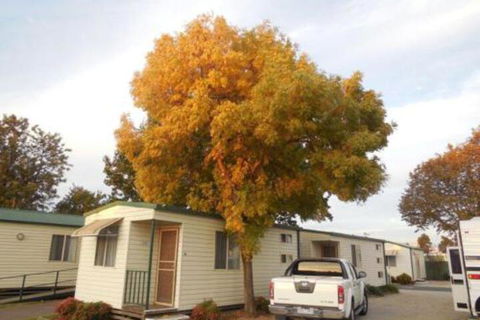 Wodonga Caravan & Cabin Park - Accommodation Noosa 0