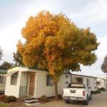 Wodonga Caravan & Cabin Park - Accommodation Noosa 1