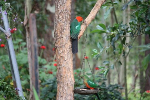 Twilight Grove Farm - Accommodation Noosa 3