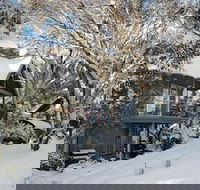 Milkwood - Accommodation Noosa