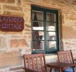 Lavender Cottage B  B - Accommodation Noosa
