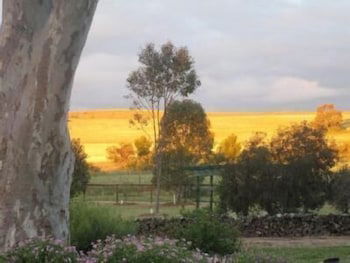 Stone Hut Cottage - Accommodation Noosa 6