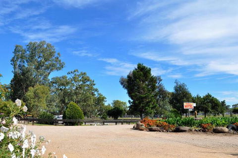 Sunflower Motel - Accommodation Noosa 2