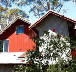 Pelicans at Denmark - Accommodation Noosa