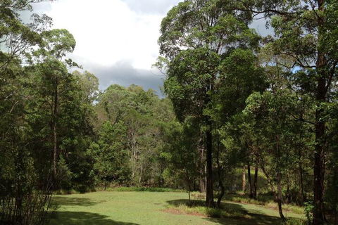 Maleny Country Cottages - Accommodation Noosa 3
