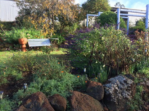 Chestnut Brae Farmstay - Accommodation Noosa 4