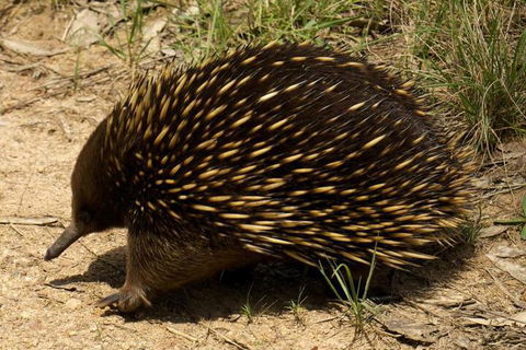 Brigadoon Cottages - Accommodation Noosa 7