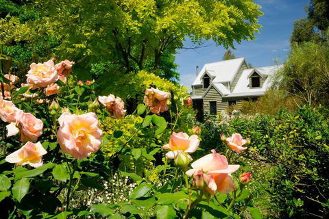 Brigadoon Cottages - Accommodation Noosa 4