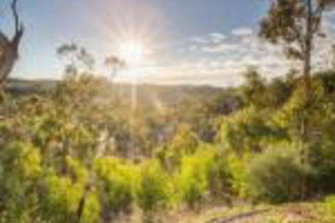 Skillogalee - Accommodation Noosa 0