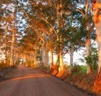 Innisfree Mountain Retreat - Accommodation Noosa