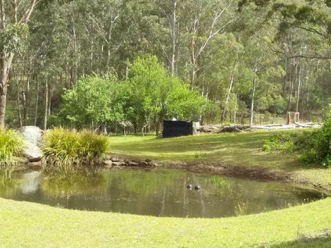 Clerevale Vacation Home - Accommodation Noosa 1
