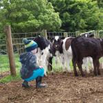 Manderley Park Farmstay B & B - Accommodation Noosa 0