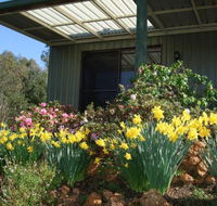 Nannup Riverview Cottage - Accommodation Noosa