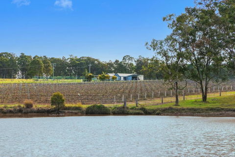 Ironbark Villa 2 - Accommodation Noosa 6