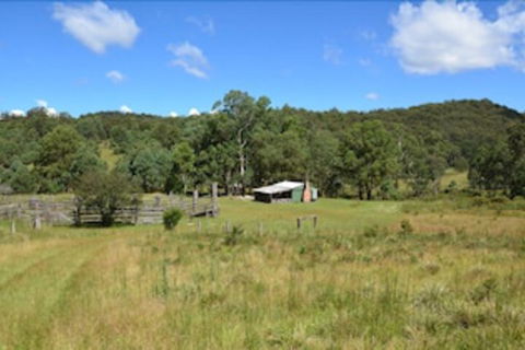 Four Bull Hut - Accommodation Noosa 4