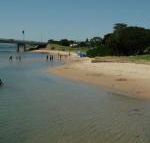 Black Dolphin Waterfront Apartment - Accommodation Noosa