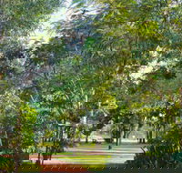Banyan Tree Resort - Accommodation Noosa