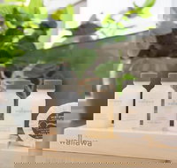 Boutique Stays - The Lincoln - Accommodation Noosa