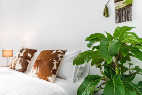 Premalaya - Accommodation Noosa 3