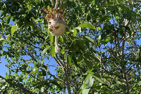 Sweet Dreams Retreat At Lara - Accommodation Noosa 7