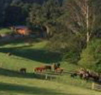 Amaroo Valley Springs - Accommodation Noosa