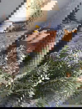 Elm Cottage Barn - Accommodation Noosa 2