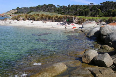 Sawyers Bay Shacks - Accommodation Noosa 4