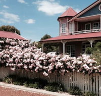 Painted Lady Bed  Breakfast - Accommodation Noosa