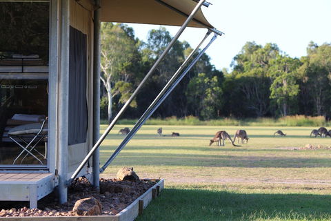 Habitat Noosa - Accommodation Noosa 3