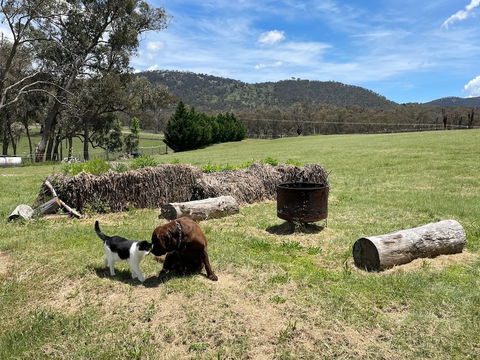 Donegal Farmstay - Accommodation Noosa 2