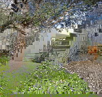 Beach Pearl - Accommodation Noosa