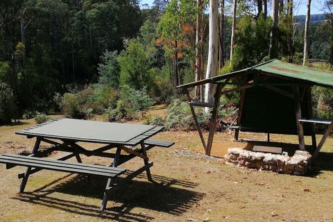 Minnow Cabins - Accommodation Noosa 6