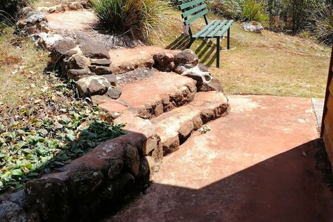 Minnow Cabins - Accommodation Noosa 3