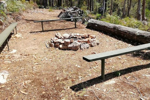 Minnow Cabins - Accommodation Noosa 5