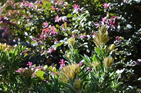 A Bach At Bright Bright VIC - Accommodation Noosa 4