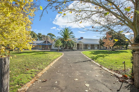 Orchards At Spring Vale Farm - Accommodation Noosa 2