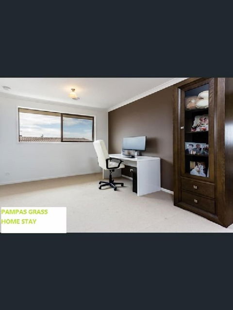 Pampas Grass Homestay - Accommodation Noosa 4