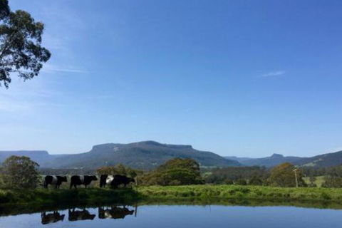 Minimbah Farm Cottages Family Farmstay Choose From 2 & 3 Bedroom Cottages & 6 Bedroom House - Accommodation Noosa 0
