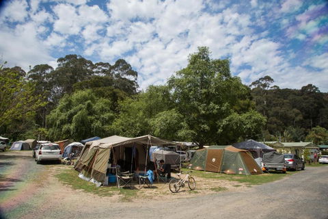 Warburton Holiday Park - Accommodation Noosa 2