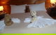 Boat Harbour Garden Cottages - thumb 3