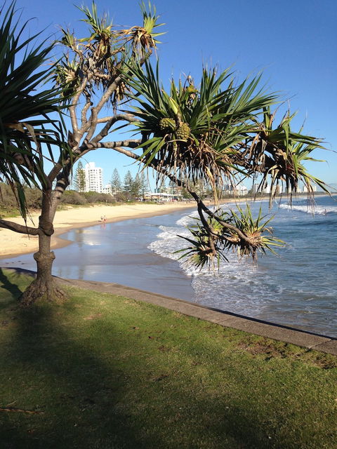 Grand Palais Beachside Resort - Accommodation Noosa 3