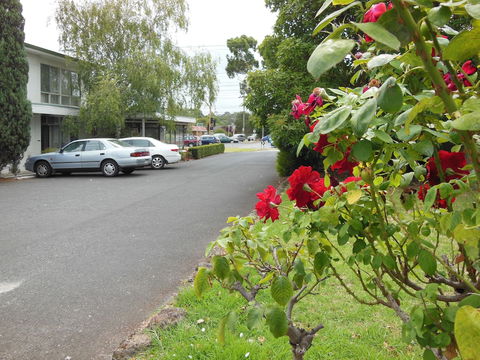 Ringwood Motel - Accommodation Noosa 1