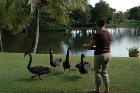 Alexander Lakeside Bed & Breakfast - Accommodation Noosa 6